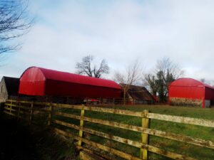 Red Farm Shed Painting Carlow